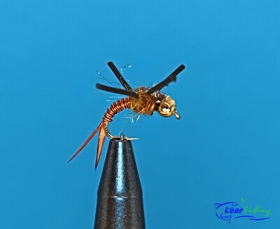 Copper John Nymph Legs Bead Head Fly Fishing Flies - One Dozen - Sizes Available