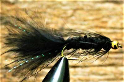 14 on Jig Hook Tungsten UV CDC Micro Wooly Buggers Euro Nymhing sz 8