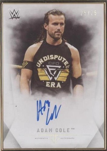 2019 Topps WWE Transcendent Collection - Adam Cole #A-AC