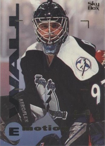 1995-96 Skybox Emotion - Daren Puppa #166