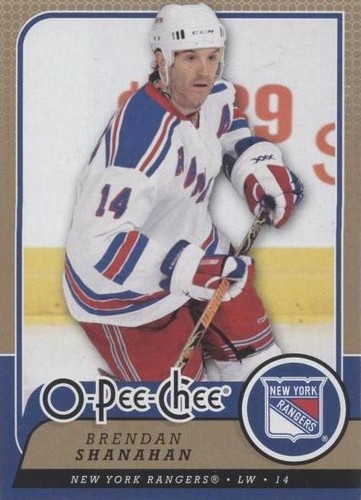 2008-09 O-Pee-Chee - Brendan Shanahan #45