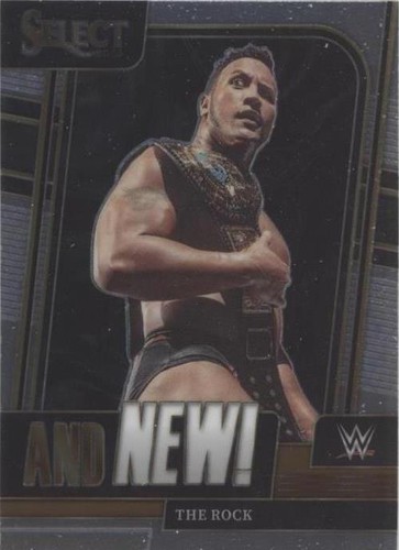 ザロック The Rock 22 PANINI SELECT WWE zebra The Rock 2022 Panini Select WWE Zebra Case Hit SSP Premier