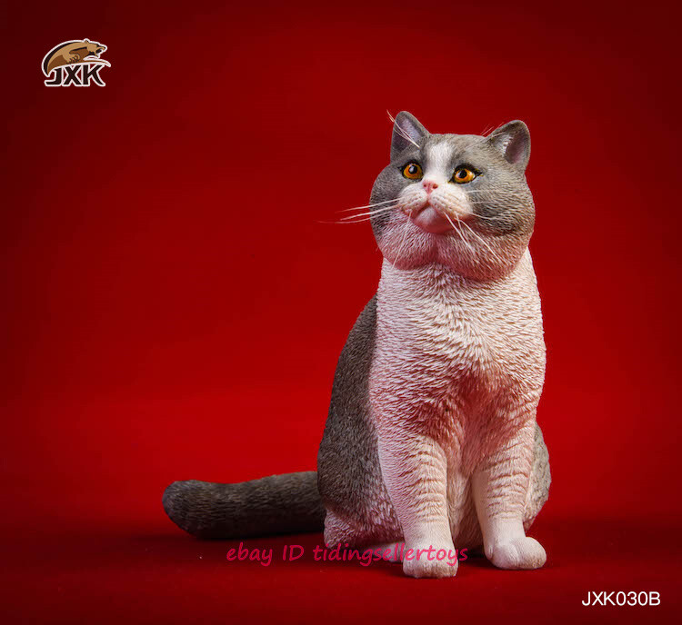 希少❗️BRITISH GREEN(英国製) JXK 1/6 Resin British Shorthair Cat Animal Statue Fit 12
