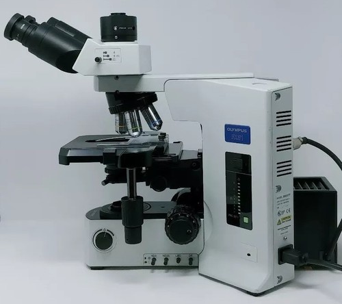 Olympus Microscope BX51 with Trinocular Head