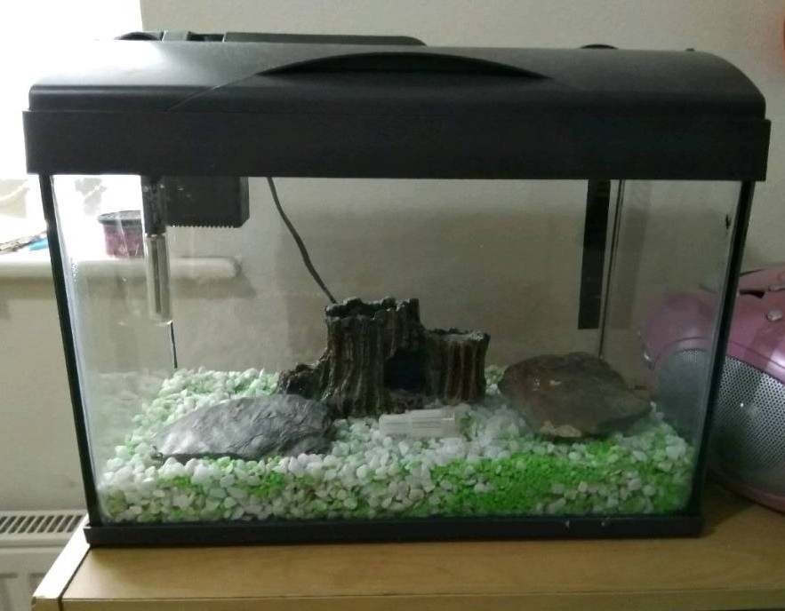 Fish Tank/Aquarium With Builtin Filter And Water Heater in Allerton