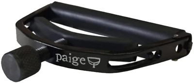 Paige Acoustic Guitar Bridge Pins (P6E)