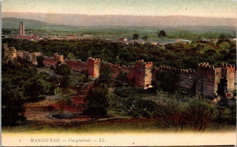 *58925 Cpa Mansourah -  Vue GéNéRale