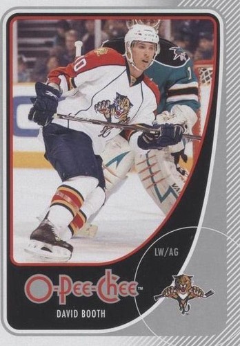 2010-11 O-Pee-Chee - David Booth #296