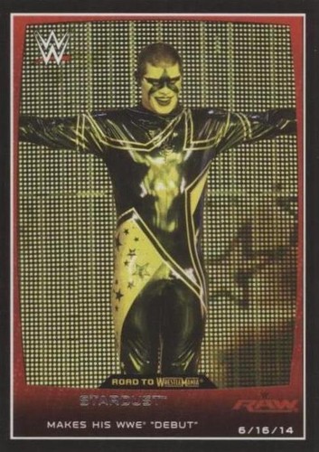 2015 Topps WWE Road to Wrestlemania - Stardust #28