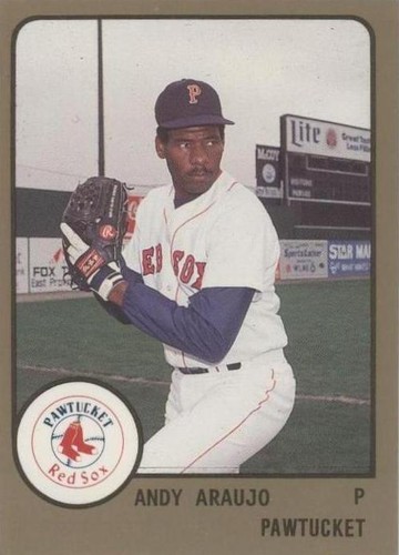 1988 ProCards Minor League - Andy Araujo #446