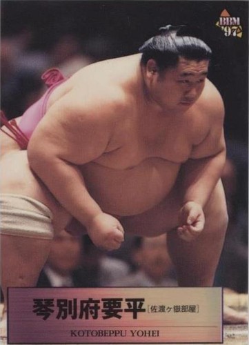 タケシベイゴマ Tochiazuma Daisuke 1999 BBM Sumo Wrestling Card No. 20