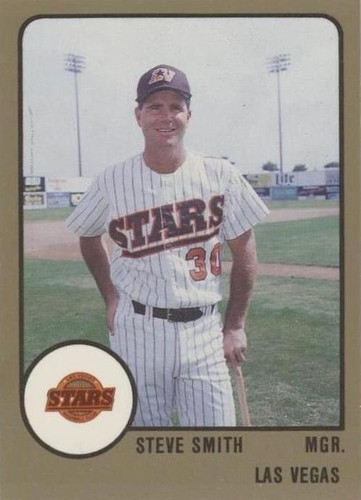 1988 ProCards Minor League - Steve Smith #244