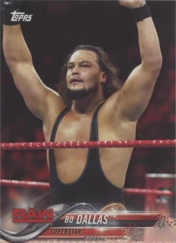 2018 Topps WWE - Bo Dallas #13