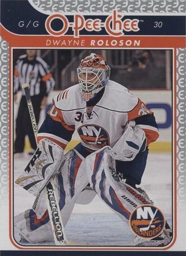 2009-10 O-Pee-Chee - Dwayne Roloson #619