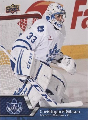 2014-15 Upper Deck AHL - Christopher Gibson #33
