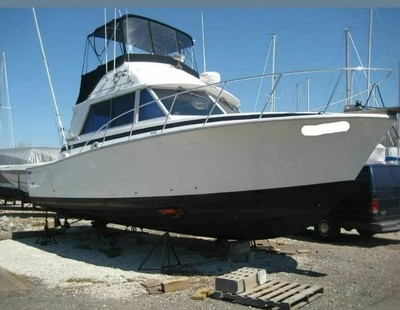 1978 33ft bertram B335