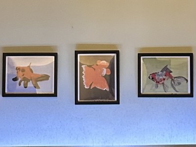 Objectfoto('s) van geverifieerde koper