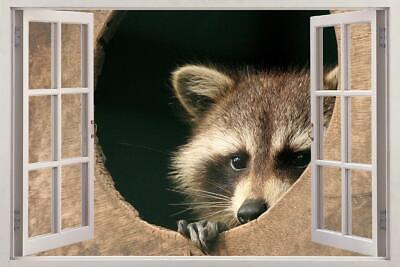 Raccoon 3D Window Decal Wall Sticker Home Decor Art Mural Animals FS