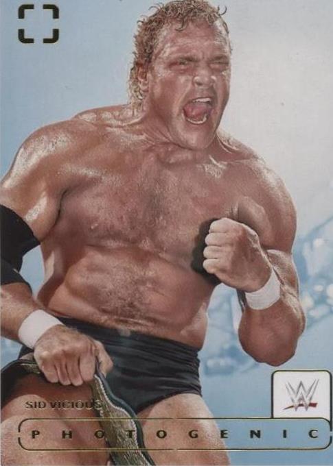 2024 Panini Photogenic WWE - Sid Vicious #184