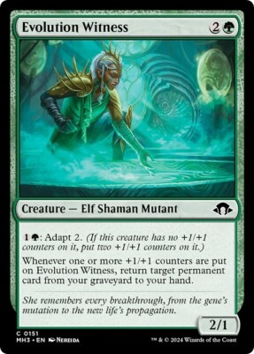 EVOLUTION WITNESS x4 mtg NM-M Modern Horizons 3 Common