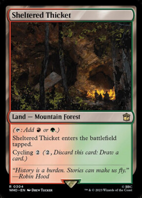 NM Sheltered Thicket, MTG, Doctor Who, Magic the Gathering, 304