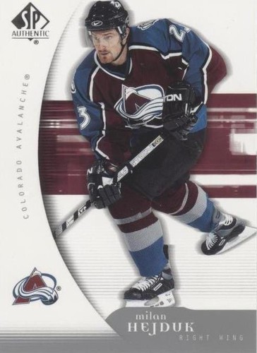 2005-06 SP Authentic - Milan Hejduk #26
