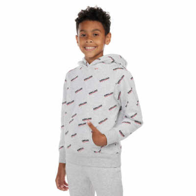 Kirkland Signature Costco Gray Unisex Youth Logo Pullover Hoodie