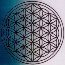 garagenladen auf eBay