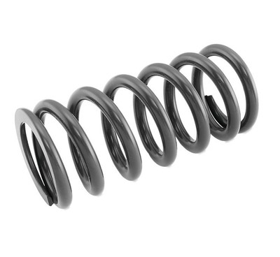 Race Tech Shock Spring 6.0kg for BETA Xtrainer 300 15-22