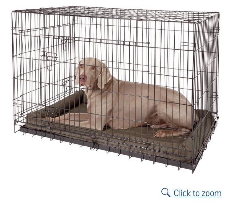 Medium sized dog crate in Ormeau Road, Belfast Gumtree