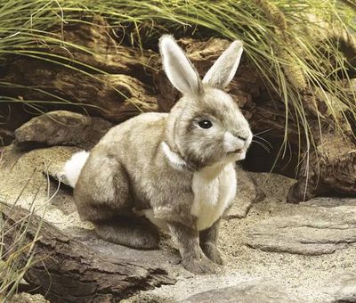Folkmanis 2891 Cottontail Rabbit Hand Puppet
