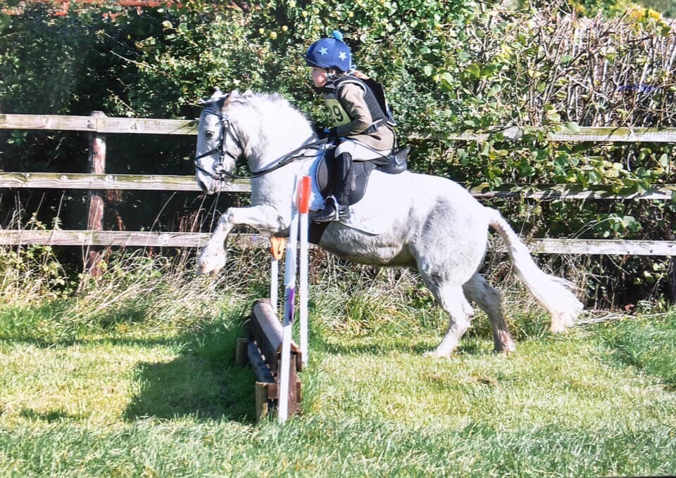 11hh Lead Rein/Second Pony in Westbury, Wiltshire Gumtree