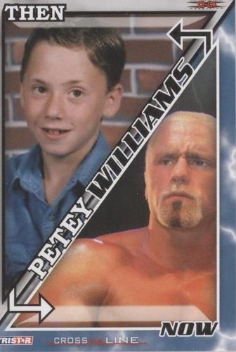 2008 TRISTAR TNA Wrestling Cross the Line - Petey Williams #54