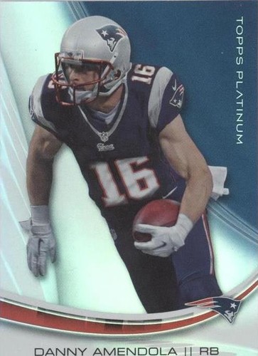 2013 Topps Platinum Danny Amendola #39