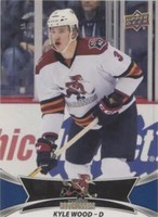 2016-17 Upper Deck AHL - Kyle Wood #147