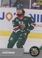 2021-22 Upper Deck CHL - Vincent Gauthier #239