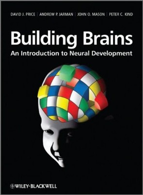 Building Brains : An Introduction to Neural Development Paperback