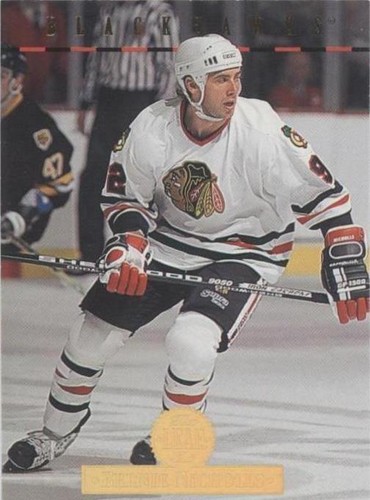 1994-95 Leaf - Bernie Nicholls #462