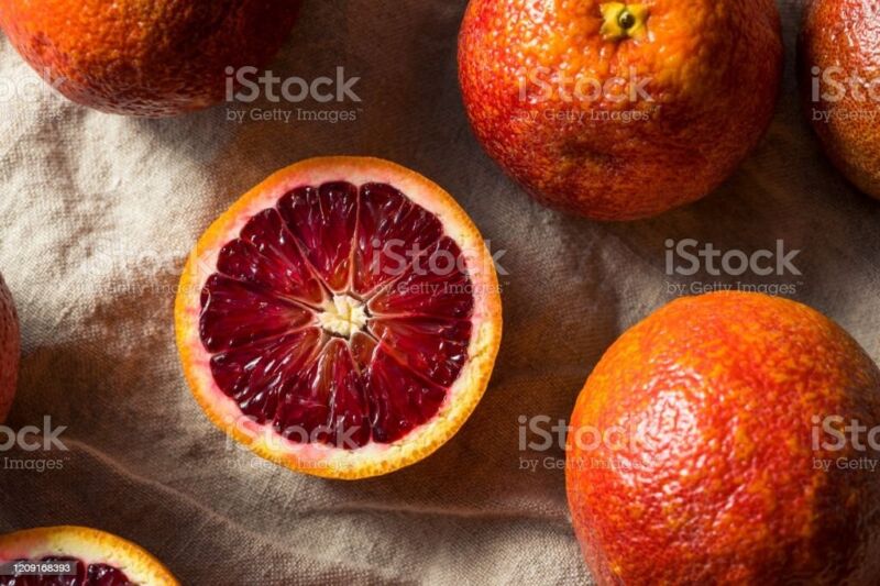 4 Blood Orange Tree Cuttings Fresh