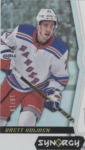 2018-19 Upper Deck Synergy - Brett Howden #78