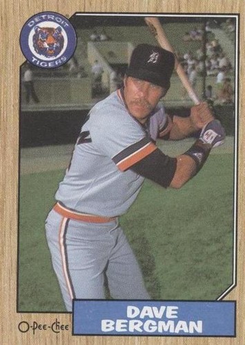 1987 O-Pee-Chee - Dave Bergman #256