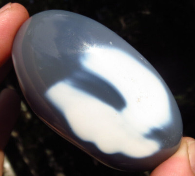 ORCA AGATE POLISHED HEALING WAVES OF THE WHALE CRYSTAL PALMSTONE MADAGASCAR *9