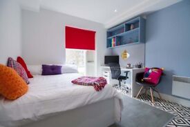image for STUDENT ROOM TO RENT IN COVENTRY. STUDIO WITH PRIVATE ROOM, PRIVATE BATHROOM AND PRIVATE KITCHEN