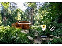 Log Cabin in the Woods - The Old Quarry (Somerset) - 27th Feb - 3rd Mar (4 nights)