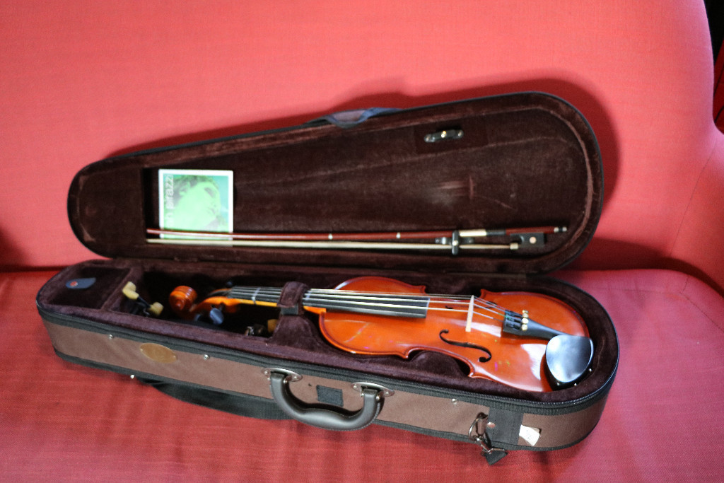 Stentor Student 1/2 size Violin, in hard case, with Wolf shoulder rest