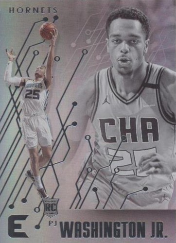 2019-20 Panini Chronicles - PJ Washington Jr. #234