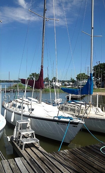 1977 25' CATALINA W/ TOHATSU 5HP ENG (TX BARR 77)