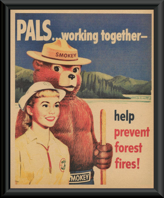 1950s Smokey The Bear Forest Fires Poster Reprint On
