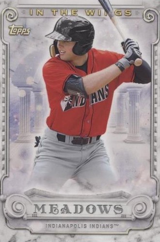 2017 Topps Pro Debut - Austin Meadows #ITW-AM