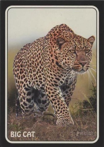 2024 Topps Heritage - Andres Galarraga #75Z-20